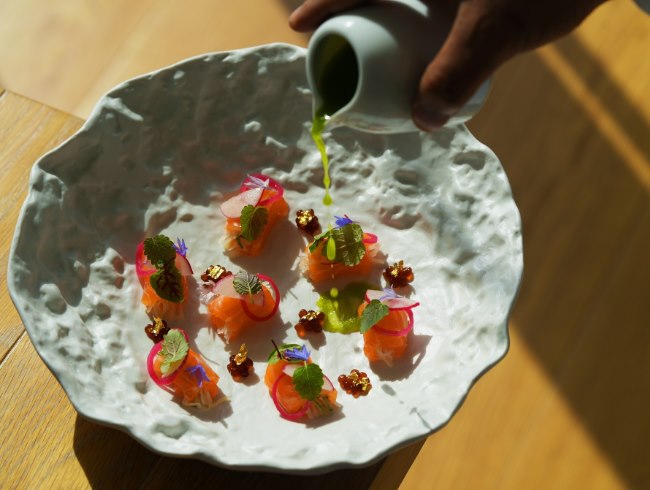 An Unparalleled Ceviche Experience